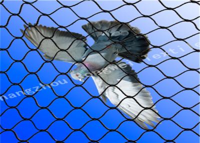 China Crops Protection Anti Bird Netting Garden Protection Nets with HDPE Plastic Material for sale