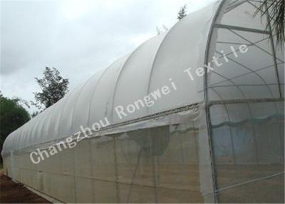 China Het landbouw Plastic Antiinsect Opleveren/Insect-proof Netwerkinstallatie behandelt Transparant of Douane Te koop