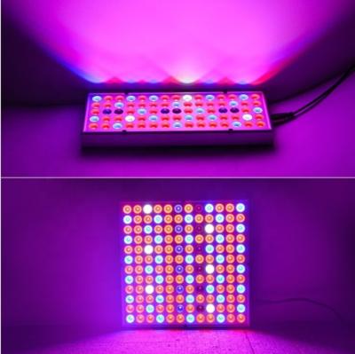 China Seed Starting Manufacturer Supply 25W 45W Indoor LED Plant Growth Lamp Full Spectrum Fill Light Led Greenhouse Grow Lamp for sale