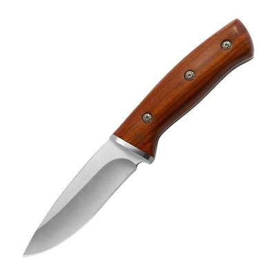 China 420 Stainless Steel Fixed Blade Knife Survival Non-variable Hunting Knife With Wooden Handle for sale