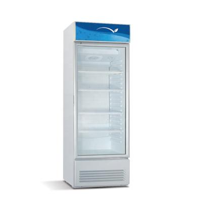 China Hot Sales Food Fruit Display Showcase Single-temperature 280L Refrigerator Display Price for sale