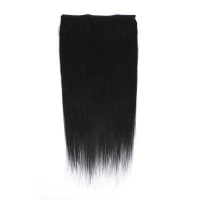 China Natural Wave Clip-in Straight Natural Hair Extension Clips On Line Hair Extension Fish Hair For Black White Women for sale