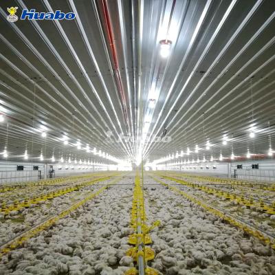 China Chicken Farm poultry chicken house small for sale for sale