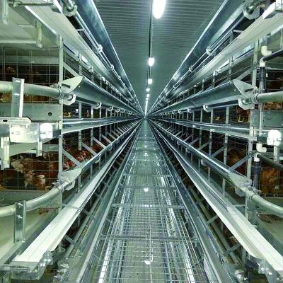 China Farms Lay Automated Chicken Farm H Frame Type Battery 4 Rows 12 Rows Laying Hen Cage for sale