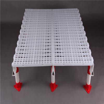 China Farms Other Animal Husbandry Equipment Chicken House Plastic Slat for sale