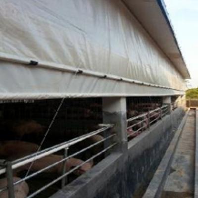 China Top Quality Automatic Farms Feeder Poultry House Curtain System for sale