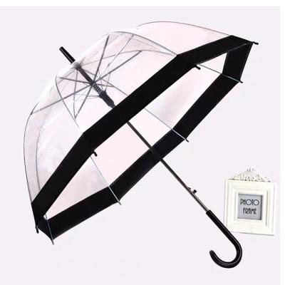 China Manual Open Transparent Umbrella For Women Umbrella PVC With Custom Printing for sale