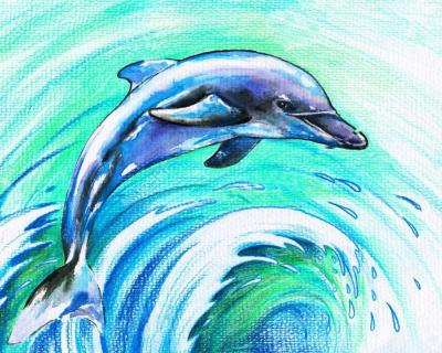 China China Factory Dolphin Picture Supplier Abstract Diamond Painting for sale