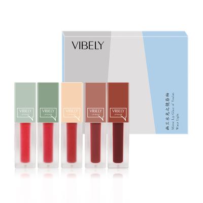 China 2019 High Pigment 20 Colors Waterproof Private Label Lip Gloss Make Your Own Lip Gloss for sale