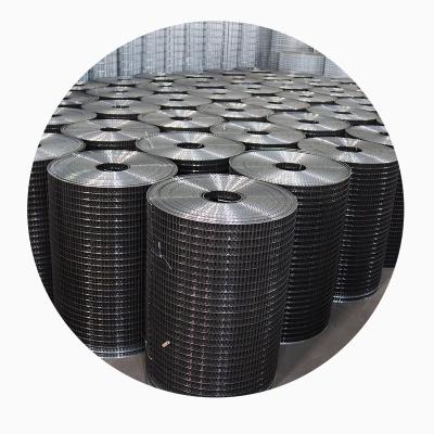 China New Product High Quality Plain Weave Fence Galvanized Welded Wire Mesh for sale