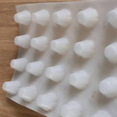 China Traditional Eco-friendly Construction Dimple Membrane Drain Mat Plastic Sheet HDPE Drain Board Waterproof Cell With Cheap Price for sale