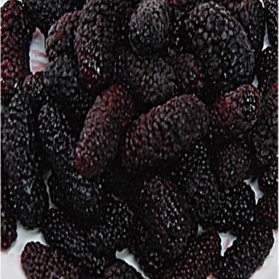 China IQF FROZEN Frozen Blackberry for sale