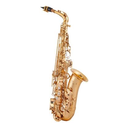 China Customized cheap good quality tenor saxophone alto saxophone designs from chinese manufacturer gold lacquer for sale