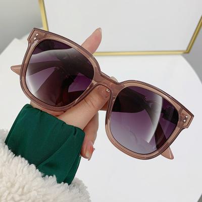 China 2023 Fashion Sunglasses High Quality Square Polarized Oversized TR90 Sun Glasses Glass Shades For Women for sale