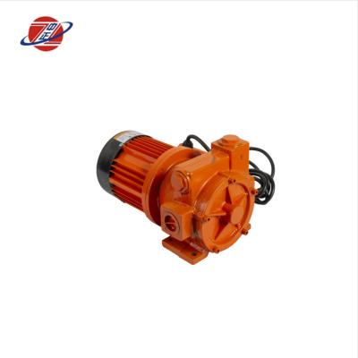 China Electric Oil Station 80L/min 220V Transfer Pump Diesel Oil Pump for sale