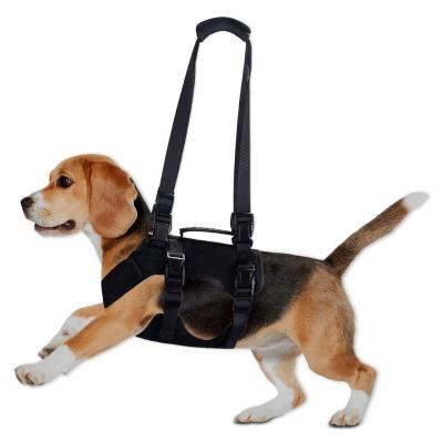 China Sustainable Sustainable Service Dog Harness with Lifting Handle Dog Strap Harness New customize Logo Safety Adjustable Soft Air  Padded Dog Pet Harness for sale