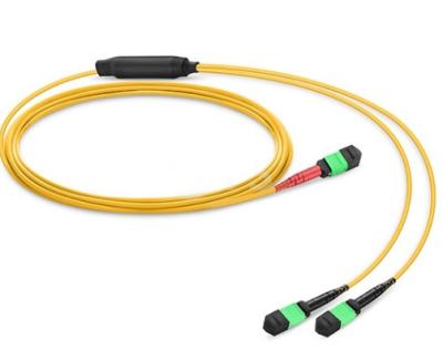 China MTP / MPO To Dual MTP / MPO Female 24 Fiber OS2 Single Mode Conversion Harness for sale