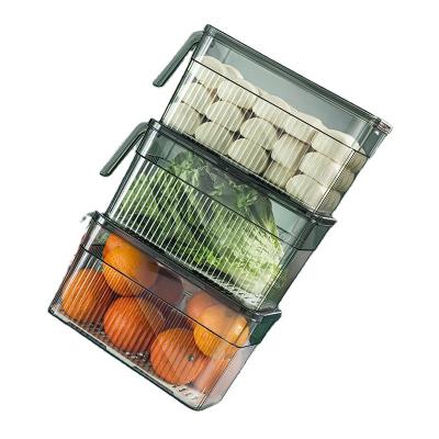 China Transparent Freshness Keeping Fridge Organizer Pet Food Fridge Storage Boxes Container With Handle Lid for sale