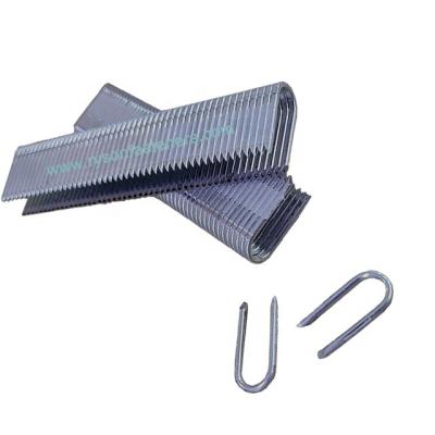 China Fasten steel with wood frame tightly high quality type nails / u fence staple / U-shaped nail TRD-622 for sale