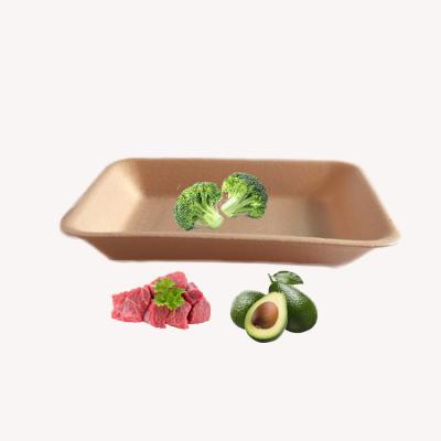 China Plastic Foam Biodegradable Disposable Food Packaging Frozen Food Food Grade Seafood Customized PLA Packing Take Out Tray for sale