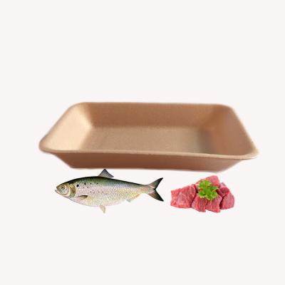 China Factory Wholesale Frozen Food Packaging Tray For Fish Meat Disposable Food Packaging/Vegetable Biodegradable PLA Foam for sale