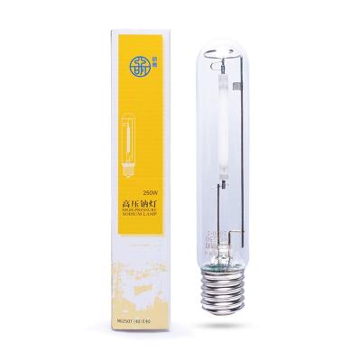 China ROAD High Lumen 250W Sodium Lamps E40 Wires-T High Pressure Street Light for sale