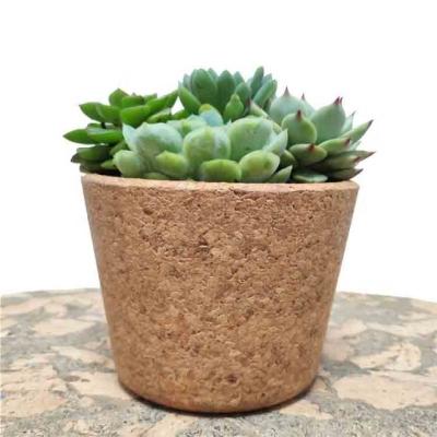 China China factory price environmental protection plant pot natural advanced custom flower pot for sale