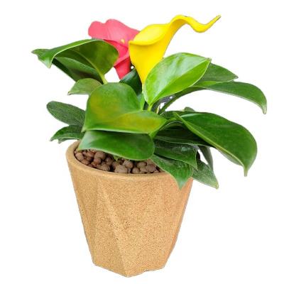 China Succulent Planter Various Cork Plant Flower Pot Flowerpot of various shape natural pot for sale