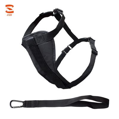 China Viable High Quality Wholesale Dog Harness Accessories Adjustable Pet Dog Leash And Harness for sale