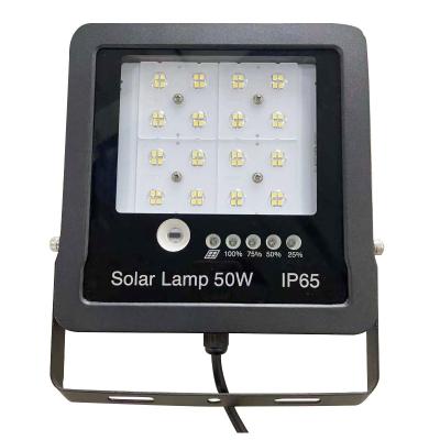 China Amazon Hot Sale Outdoor IP65 Waterproof Energy Efficient LED Solar Flood Light 50w For Outdoor Lighting for sale