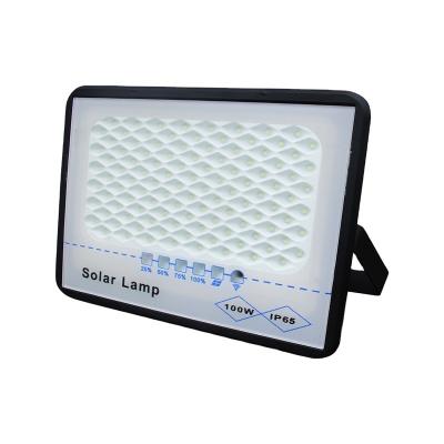 China Waterproof Outdoor Garden High Lumen 100w Led Flood Light Bridgelux Solar Led Flood Light for sale