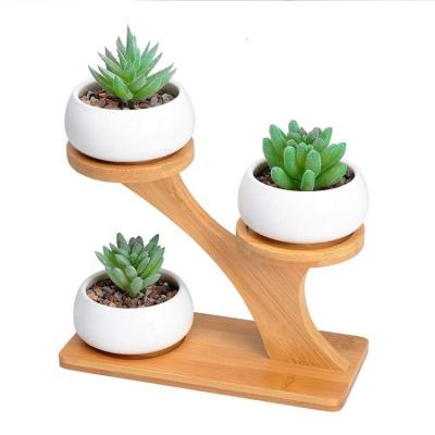 China 3pcs American Style White Ceramic Succulent Pots with 3 Row Bamboo Saucers Stand Holder - Modern Decorative Flower Planter Plant Pot for sale