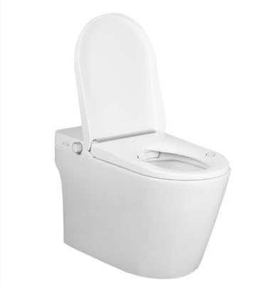 China Modern One piece waterproof electrical bidet intelligent automatic warm smart toilet for sale