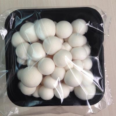 China Fresh Exotic Flavor Asian Clamshell Fresh White Mushroom for sale