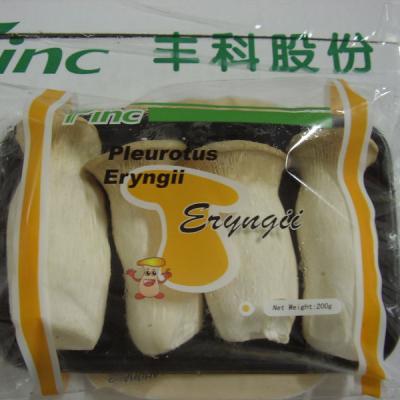 China fresh mushroom fresh eryngii for sale