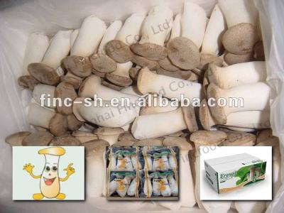 China Fresh Pleurotus Eryngii Mushrooms for sale