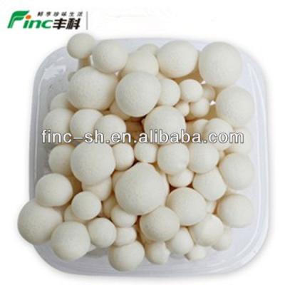 China Clamshell fresh white mushroom for sale