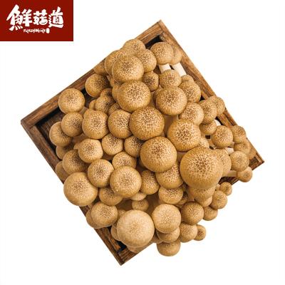 China Finc Cool Fresh Mushroom Brown Beech Mushroom for sale