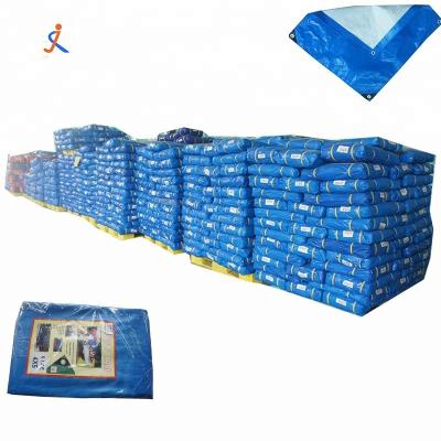 China Water Resistant Blue White Color PE Tarpaulin Rolls Hot Sale In Africa for sale