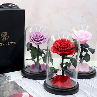 China Fashional Gift Luxury Gift Preserved Rose In Glass Dome For Valentine for sale