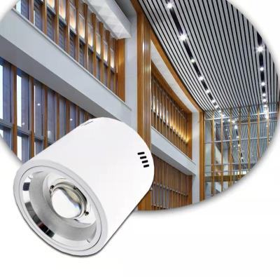 China Industrial Wholesale High Quality Super Bright 120lm/w Led Downlight Diameter Outdoor Cob Mounted for sale