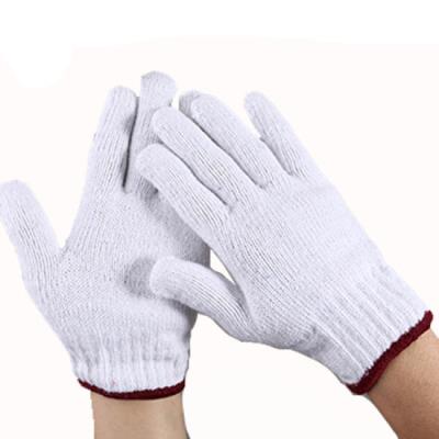 China Breathable Cheap Price 10gauge Laundered White Cotton Work Gloves for sale