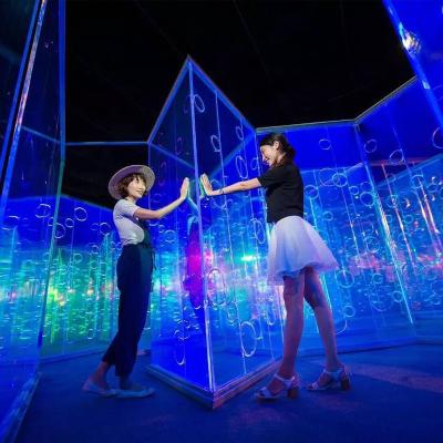 China Garden Park Interactive Art Installation Transparent Acrylic Lightweight Mirror Maze Manufacturer for sale