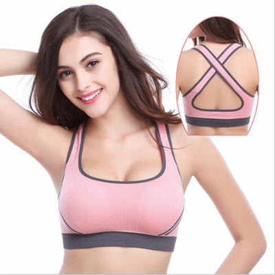 China Wholesale Cheap Breathable 7022 Women Seamless Bra Workout Padded Fitness Top Yoga Sports Bra for sale