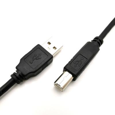 China Printer Wholesale Usb 2.0 A Male To B Male Printer Scanner Cable for sale