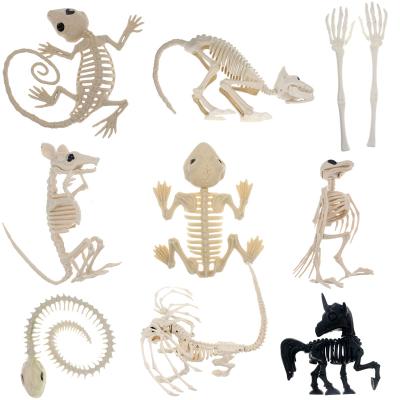 China Festival Stuff Customize Bonez Animal Skeleton Crazy Skeleton Cat Halloween Halloween Decoration for sale