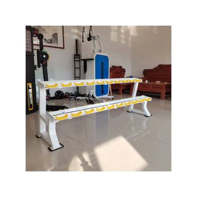 China Factory Commercial Hot Sales Style 2 Row Dumbbell Rack Gym Rack Dumbbell Rack for sale