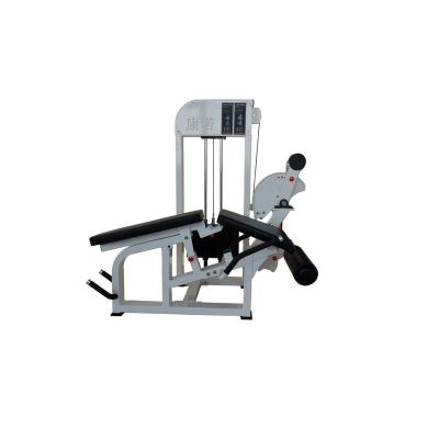 China Commercial Gym Equipment Low Price Use Leg Extender Resting Prone Gym Equipment Leg Bend Functional Dual Trainer for sale