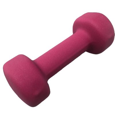 China Dumbbell Household Multicolor Vinyl Plastic Grip Neoprene Dip Dipping Dumbbell for sale