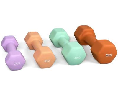 China Dumbbell Set Wholesale Factory Grade Vinyl Dumbbell Neoprene Pro Dumbbell for sale